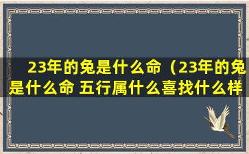 23年的兔是什么命（23年的兔是什么命 五行属什么喜找什么样的干娘）